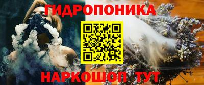 крисы Ирбит