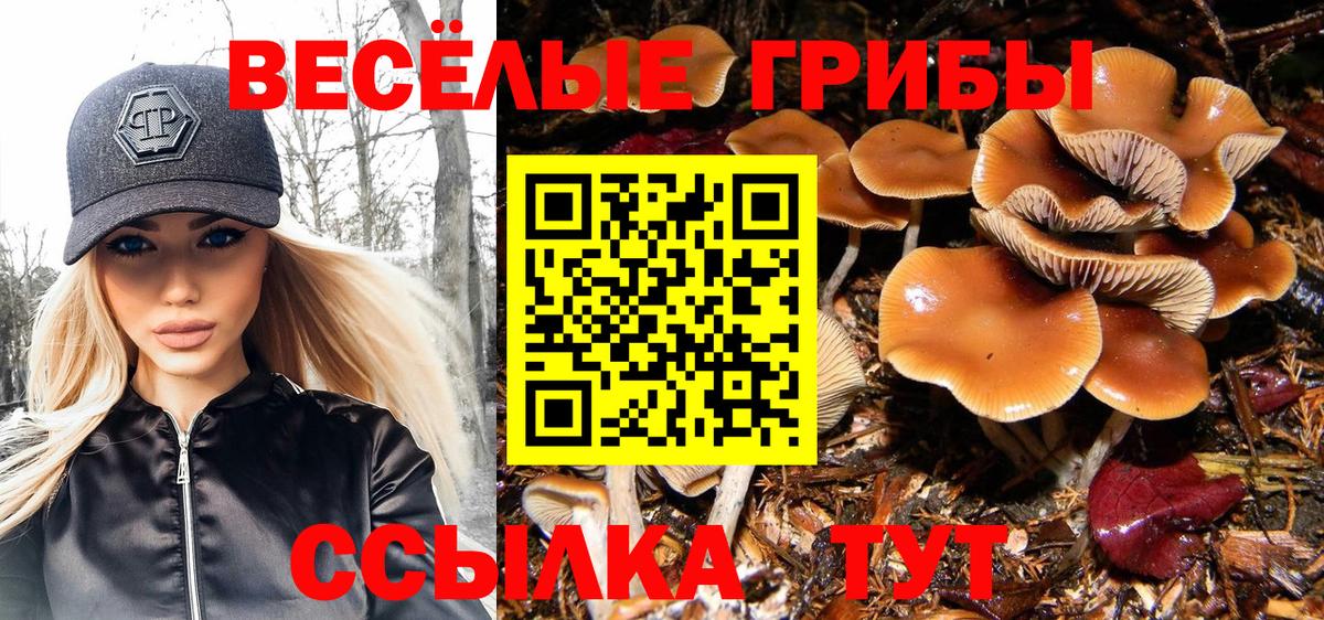 Галлюциногенные грибы мицелий Щёлково